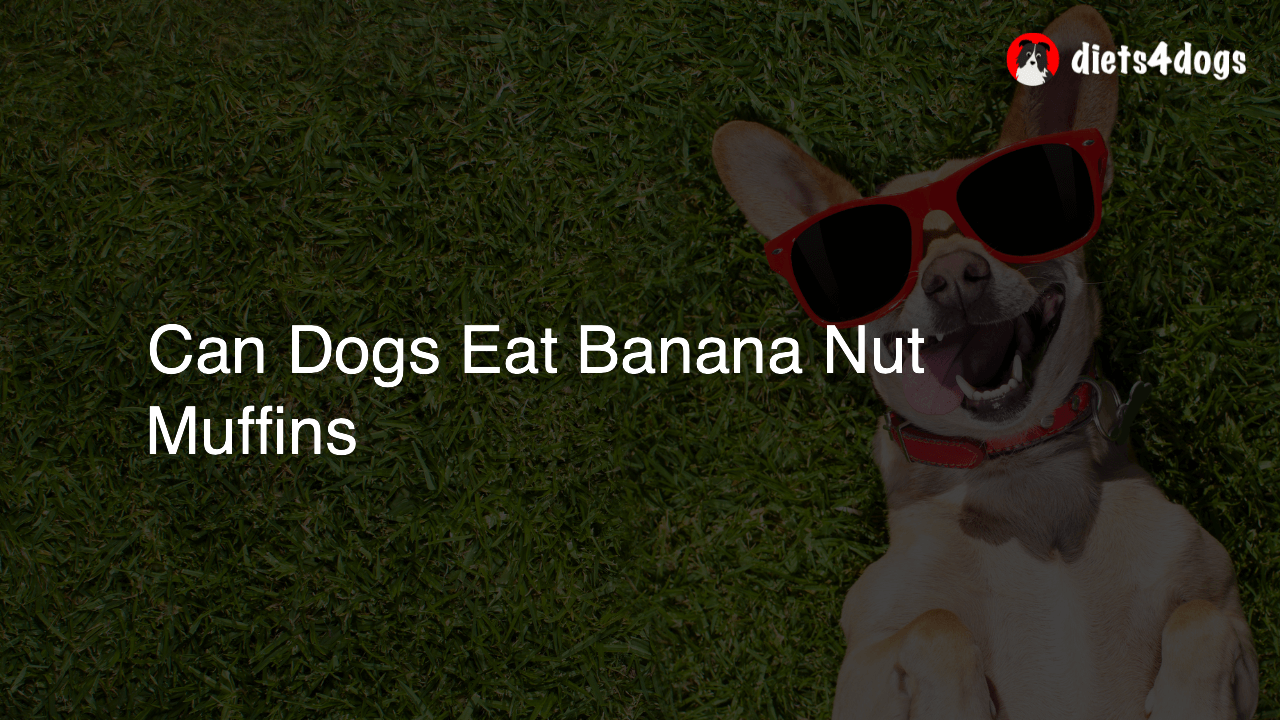 Can Dogs Eat Banana Nut Muffins