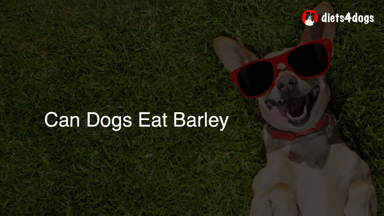 Can Dogs Eat Barley
