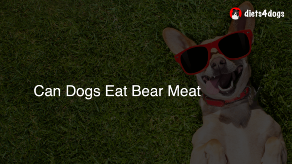 Can Dogs Eat Bear Meat