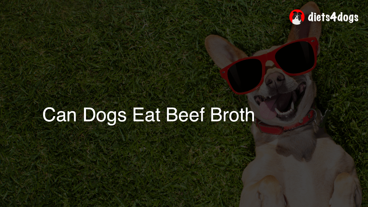 Can Dogs Eat Beef Broth