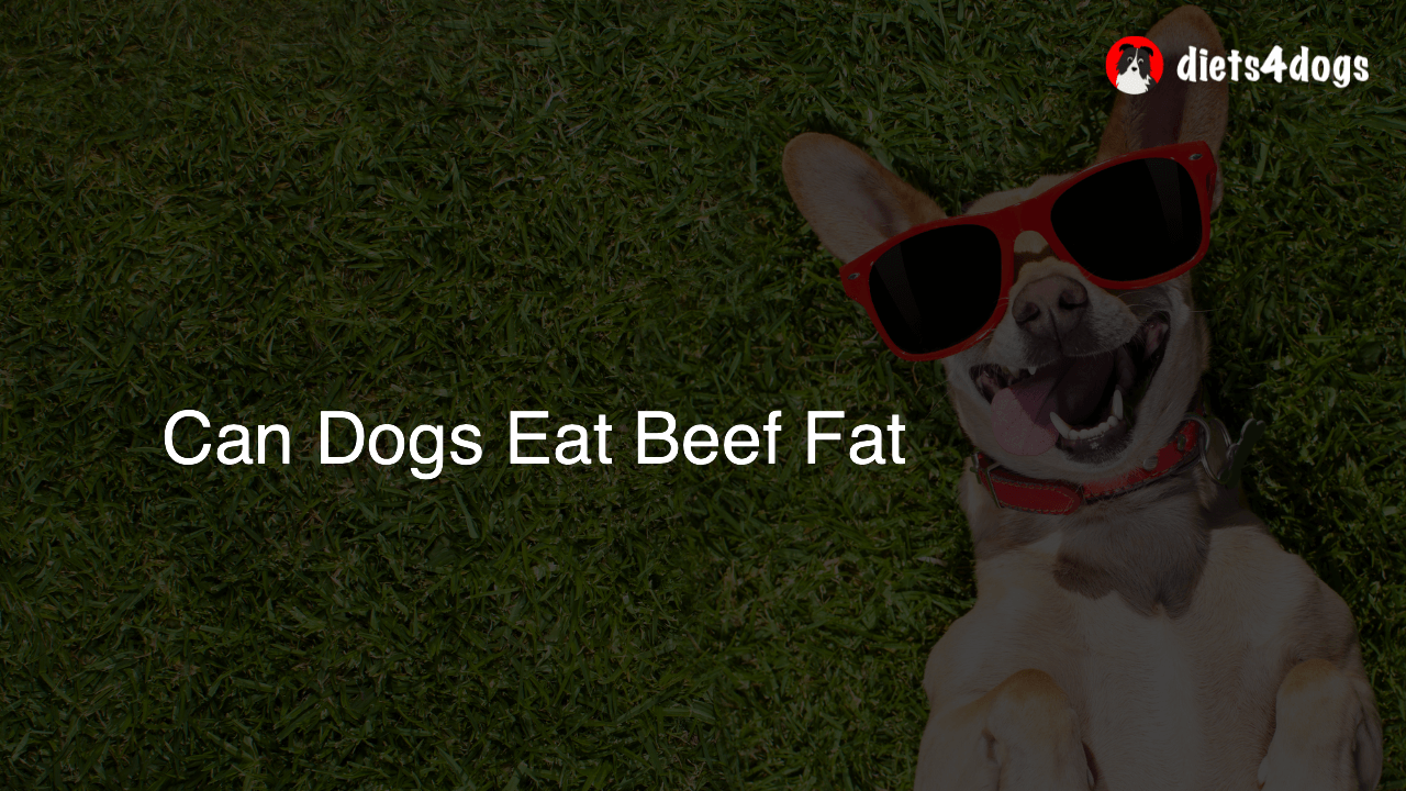Can Dogs Eat Beef Fat