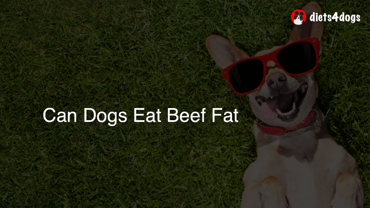 Can Dogs Eat Beef Fat Diets4dogs
