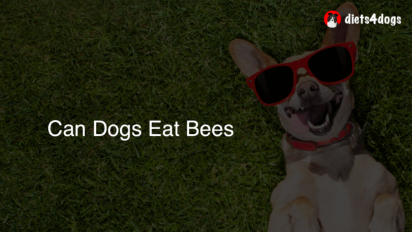 Can Dogs Eat Bees