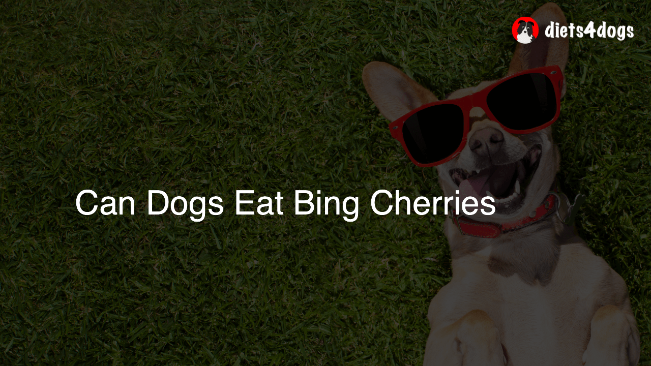 Can Dogs Eat Bing Cherries