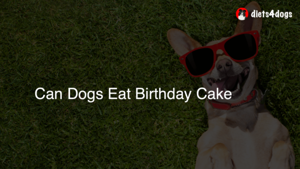 Can Dogs Eat Birthday Cake