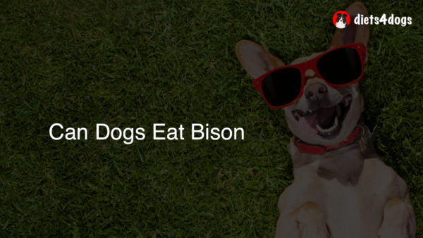 Can Dogs Eat Bison