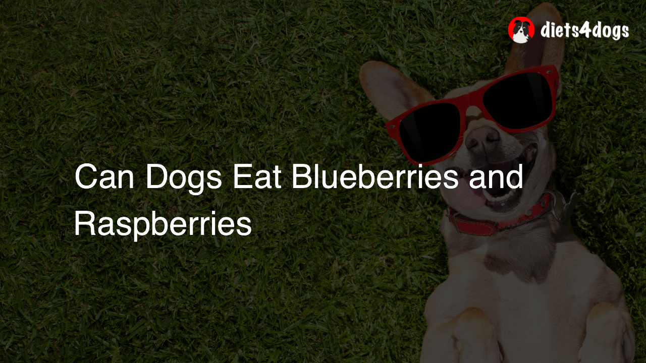 Can Dogs Eat Blueberries and Raspberries