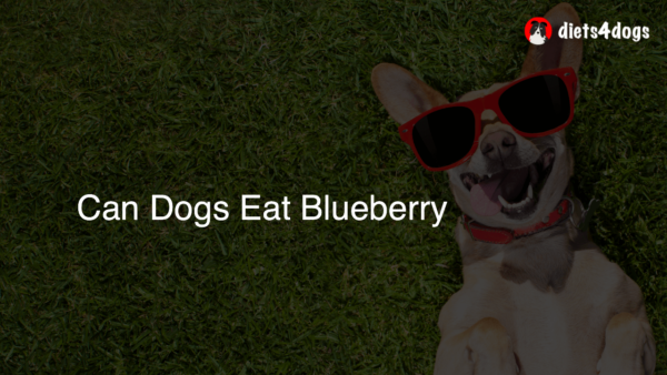 Can Dogs Eat Blueberry
