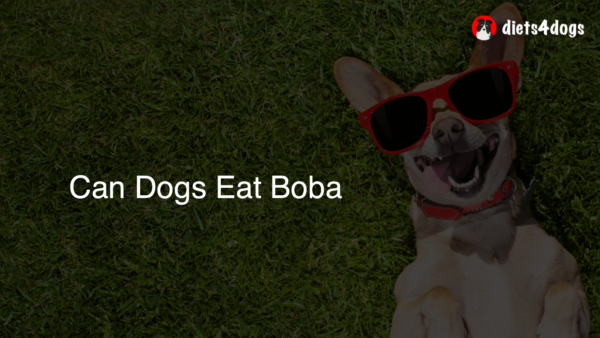 Can Dogs Eat Boba