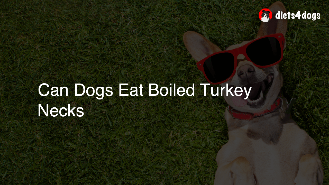Can Dogs Eat Boiled Turkey Necks