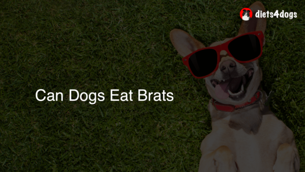 Can Dogs Eat Brats