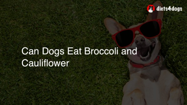 Can Dogs Eat Broccoli and Cauliflower