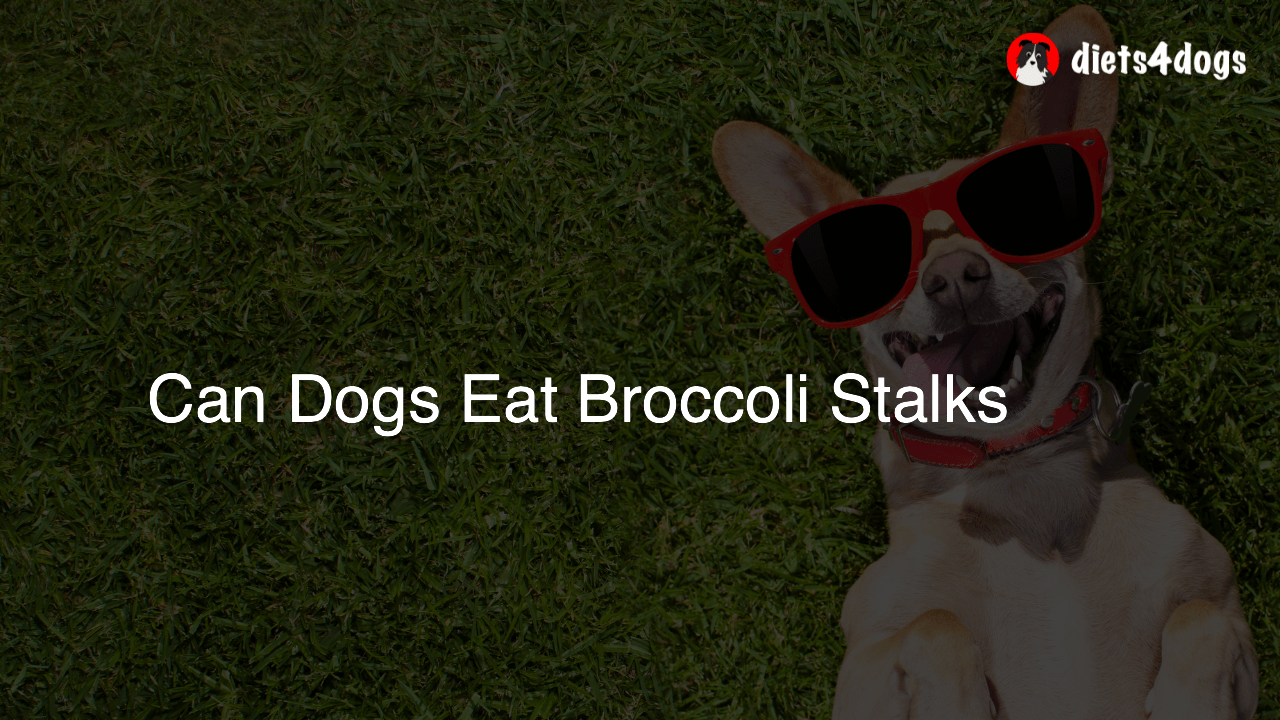 Can Dogs Eat Broccoli Stalks