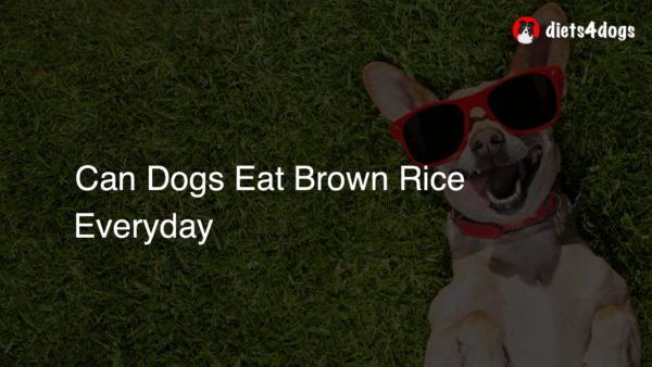 Can Dogs Eat Brown Rice Everyday