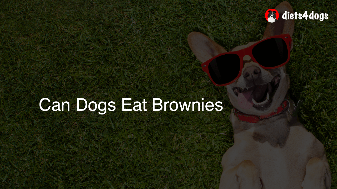 Can Dogs Eat Brownies