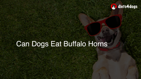 Can Dogs Eat Buffalo Horns