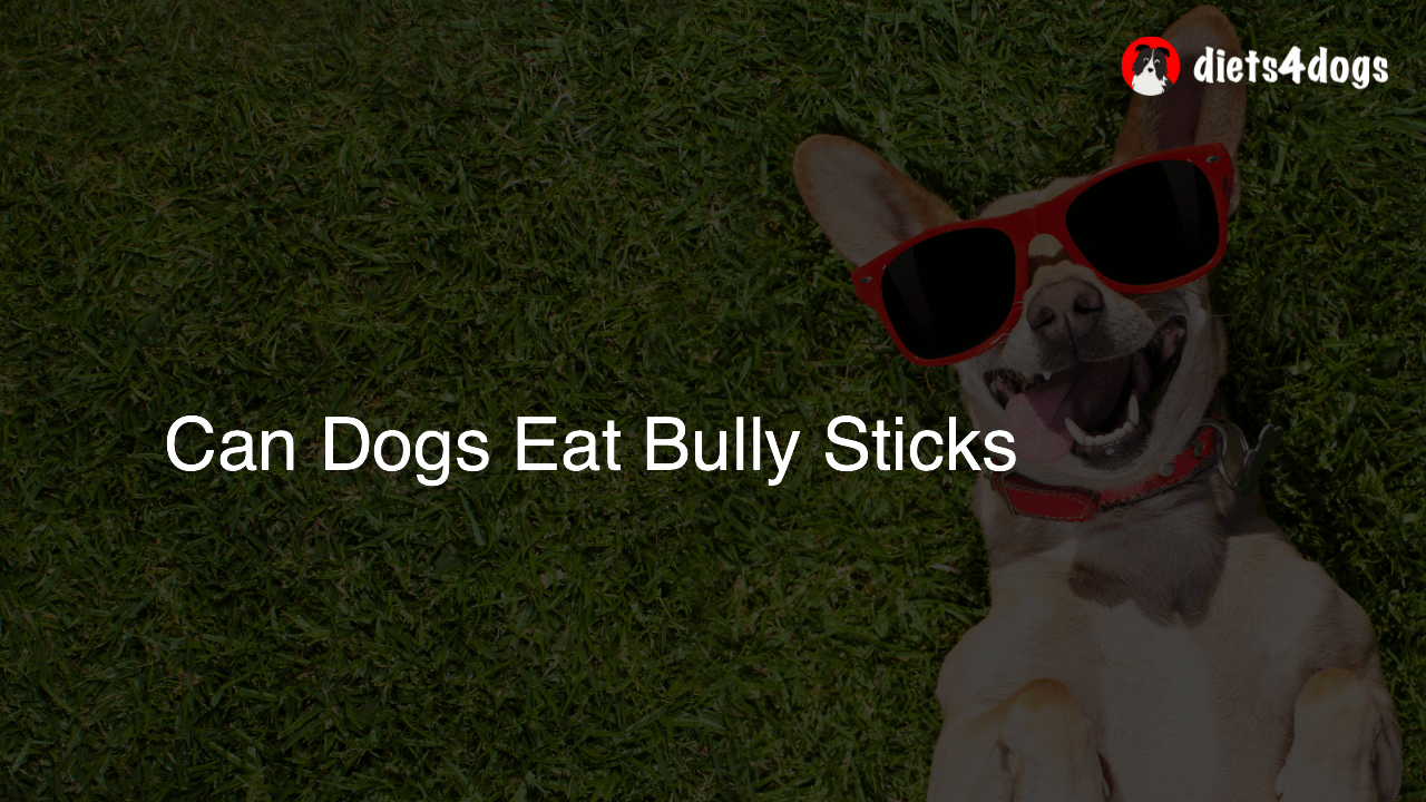 Can Dogs Eat Bully Sticks