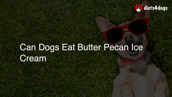 Can Dogs Eat Butter Pecan Ice Cream