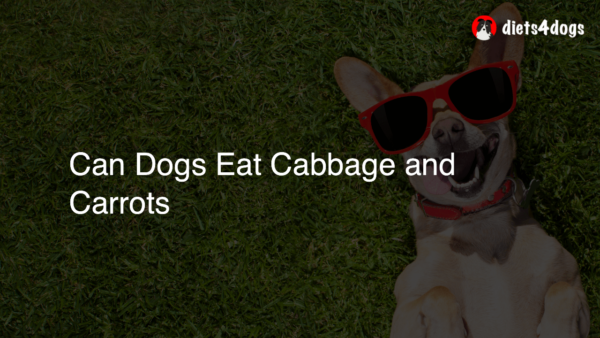 Can Dogs Eat Cabbage and Carrots