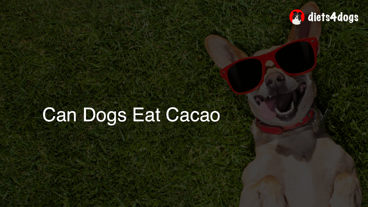 Can Dogs Eat Cacao