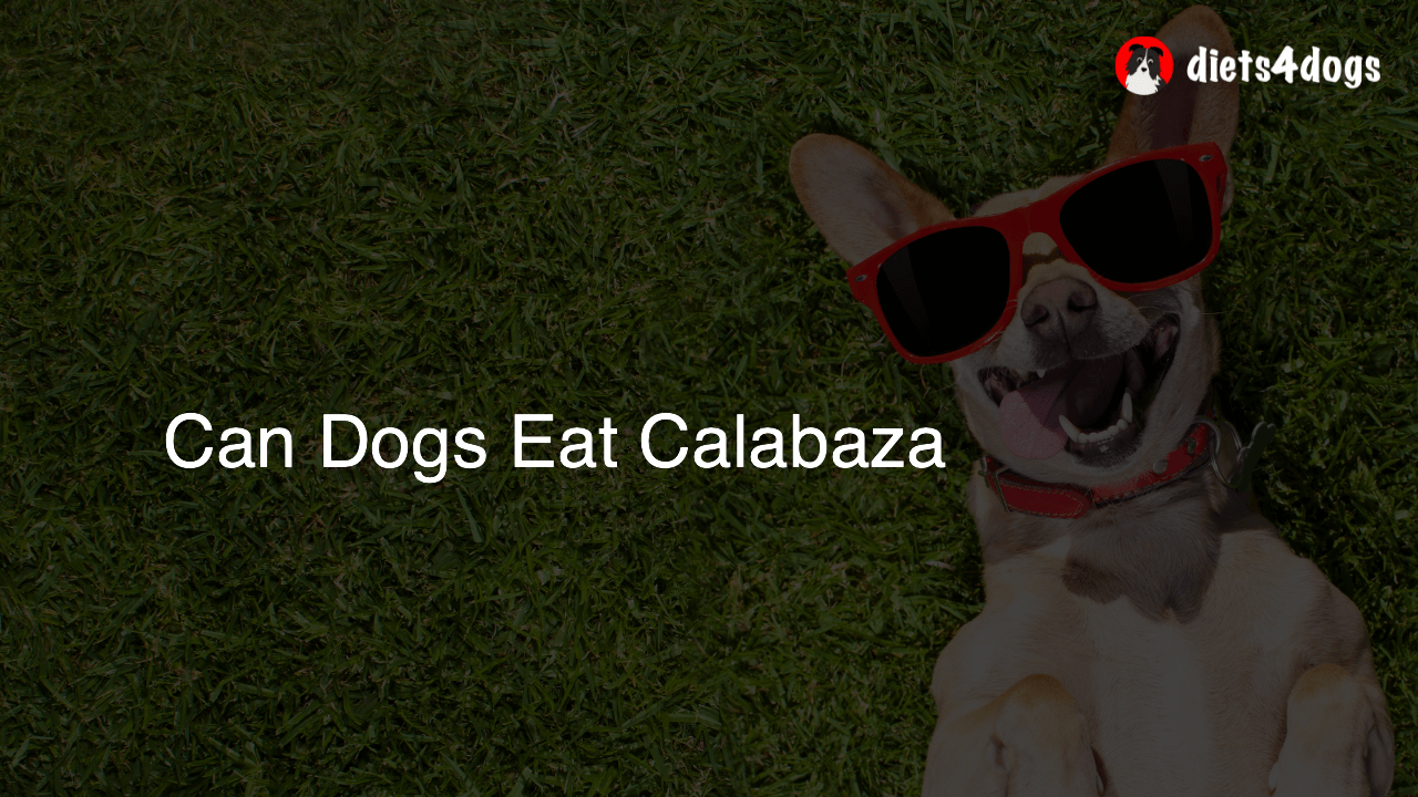 Can Dogs Eat Calabaza