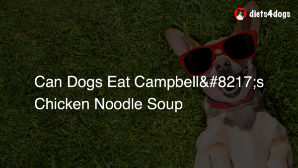 Can Dogs Eat Campbell’s Chicken Noodle Soup