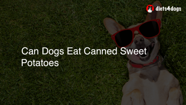 Can Dogs Eat Canned Sweet Potatoes