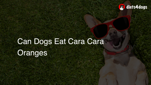 Can Dogs Eat Cara Cara Oranges