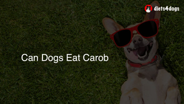 Can Dogs Eat Carob