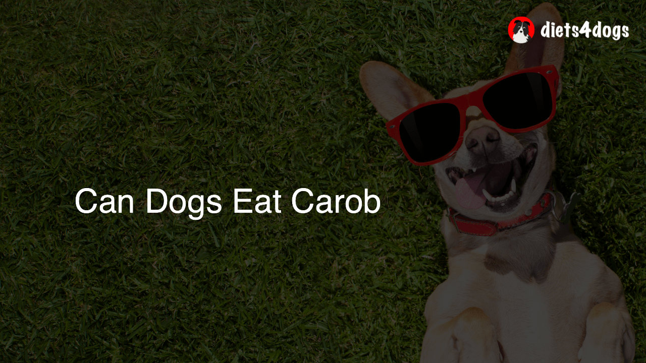 Can Dogs Eat Carob