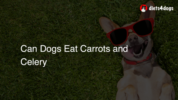 Can Dogs Eat Carrots and Celery