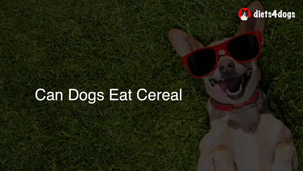 Can Dogs Eat Cereal