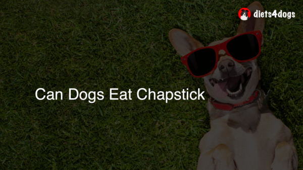 Can Dogs Eat Chapstick