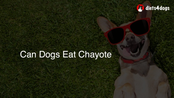 Can Dogs Eat Chayote