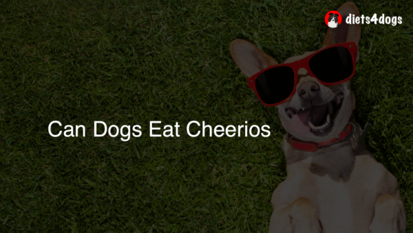 Can Dogs Eat Cheerios