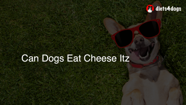 Can Dogs Eat Cheese Itz