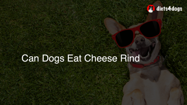 Can Dogs Eat Cheese Rind