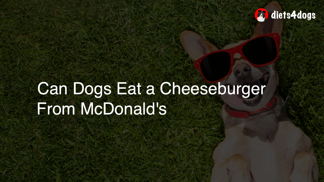 Can Dogs Eat a Cheeseburger From McDonald’s