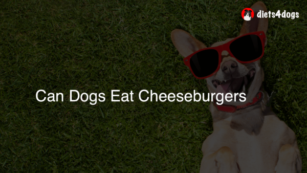 Can Dogs Eat Cheeseburgers