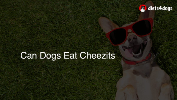 Can Dogs Eat Cheezits