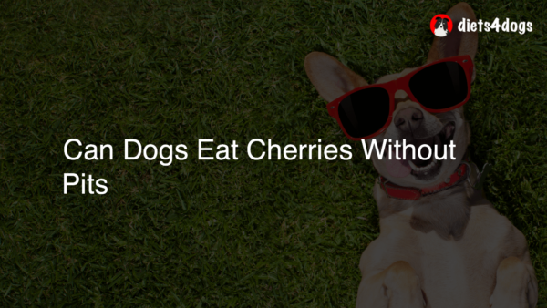 Can Dogs Eat Cherries Without Pits