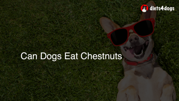 Can Dogs Eat Chestnuts