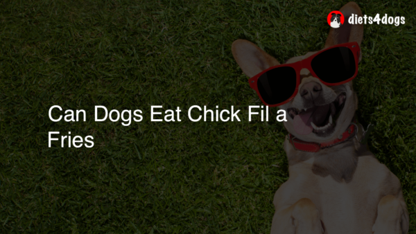 Can Dogs Eat Chick Fil a Fries
