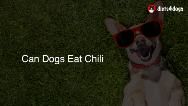 Can Dogs Eat Chili