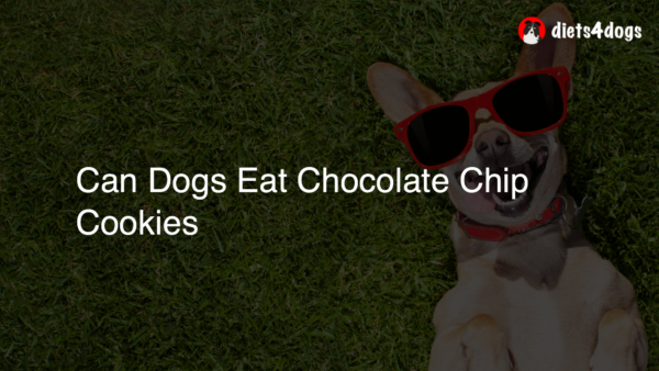 Can Dogs Eat Chocolate Chip Cookies