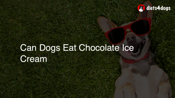 Can Dogs Eat Chocolate Ice Cream