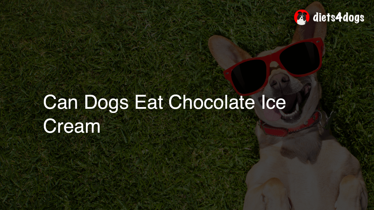 Can Dogs Eat Chocolate Ice Cream