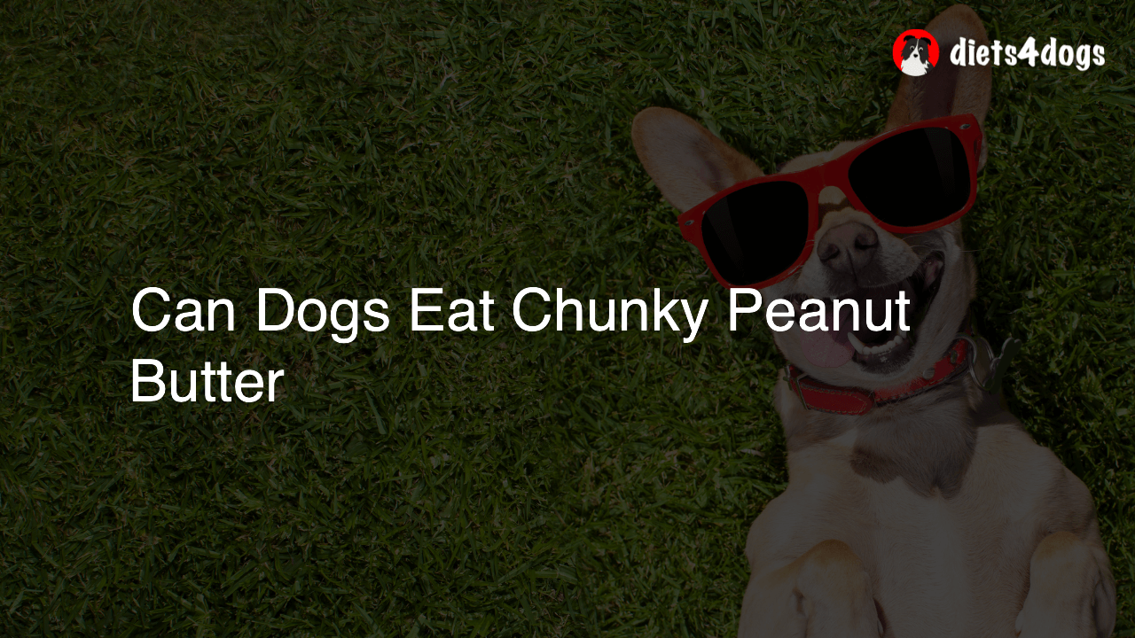 Can Dogs Eat Chunky Peanut Butter