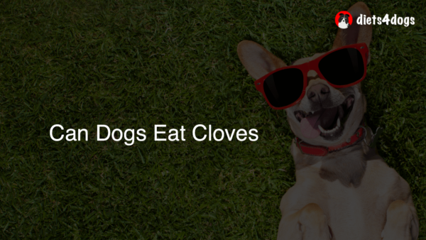 Can Dogs Eat Cloves