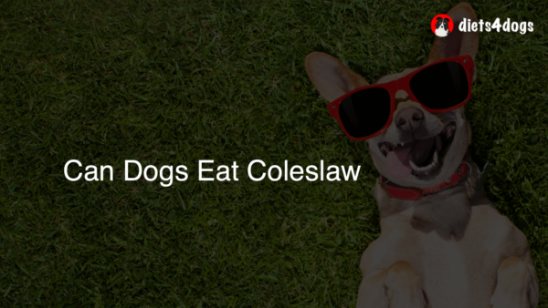 Can Dogs Eat Coleslaw